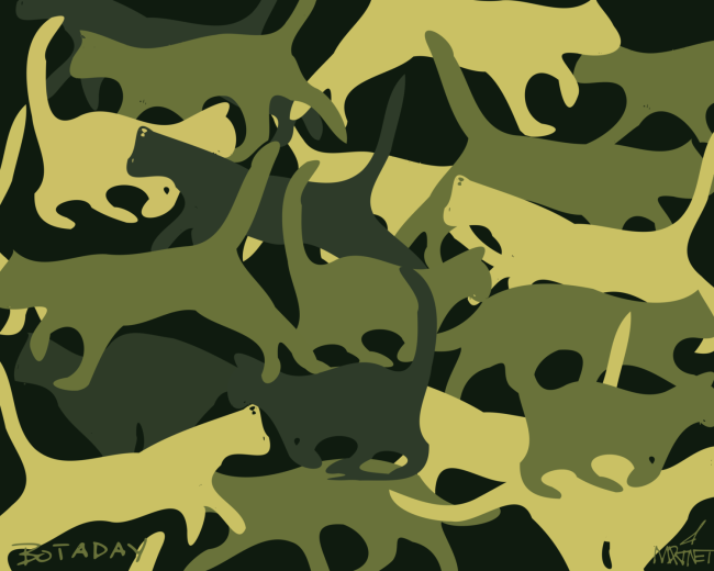 Catmouflage