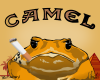Camel Toad