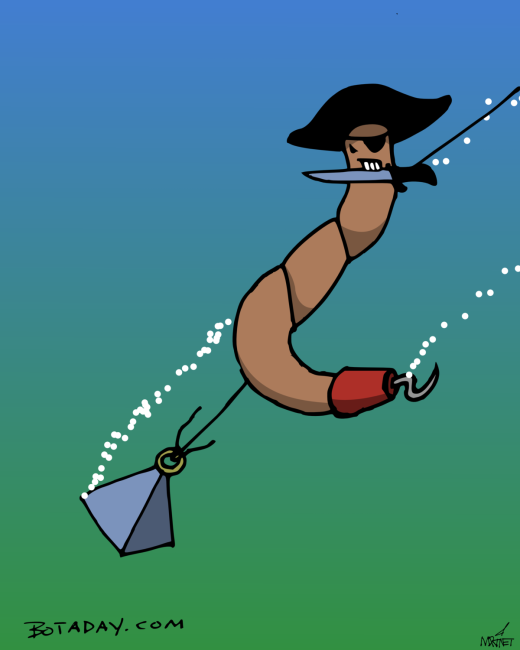 Hookworm and Sinker
