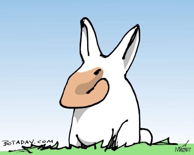 Nose Hare