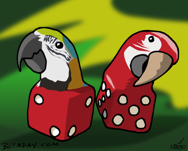 Parrot Dice