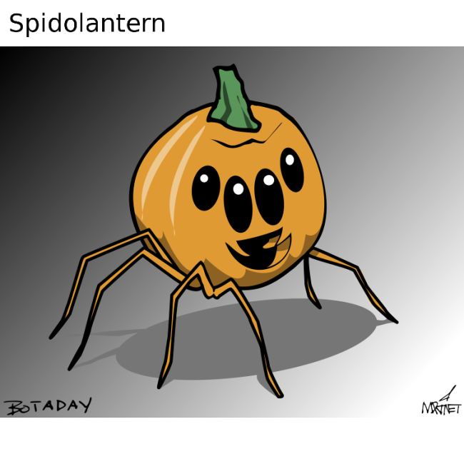 Spidolantern