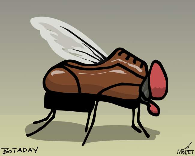 Shoefly