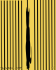 Feline