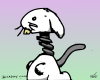 Jack Rabbit