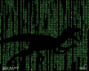 Matrix Park